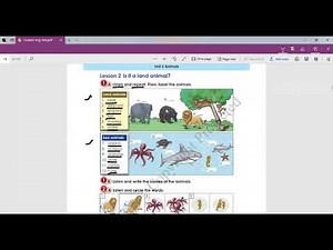 Grade(4) English Unit(2) Lesson(2) 1A, 1B