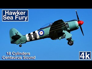 Hawker Sea Fury Aerobatics Fast and Loud Propeller Fighter Aircraft 4K