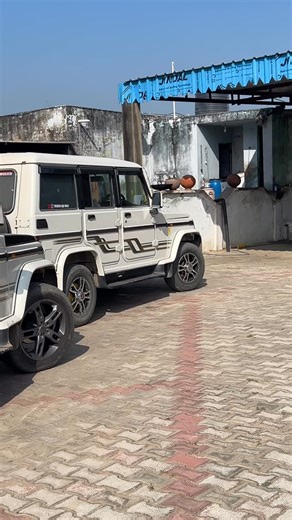 ANKIT on Instagram: "Bolero on top🚀"