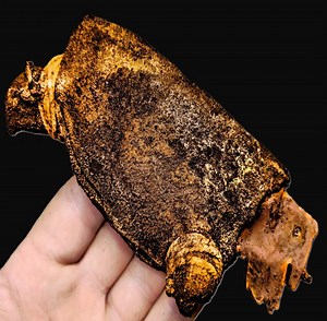 111K views · 858 reactions | Hidden Secrets Inside Restoration of a Royal 19th Century Object | Survival Restore | Facebook