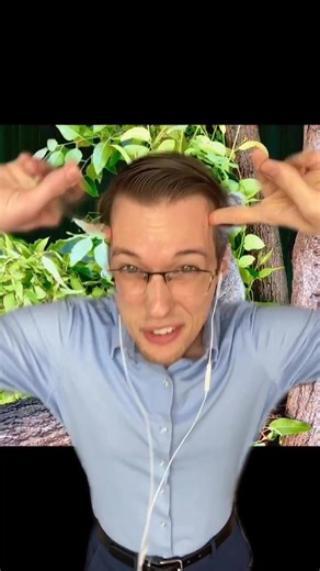 Inside the Koala Brain: A Fascinating Look at Koala Behavior