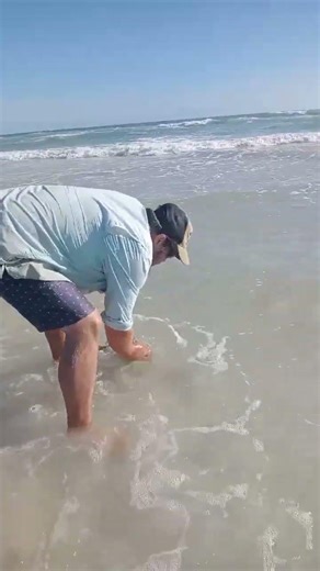 Safe kob release 🎣Quick reminder on how to handle and release a kob properly.