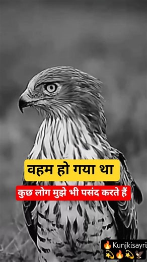 Akele To Hum Suru Se Hi Hai Dost #trending #motivation #dialogue #viral #attitude #2026