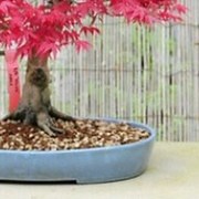 jim james - 28 лет на Мой Мир@Mail.ru