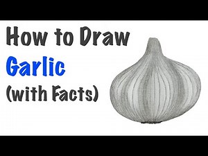 How to Draw Garlic | full tutorial
