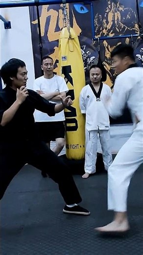 Bruce Lee Kung Fu Mastery in Action