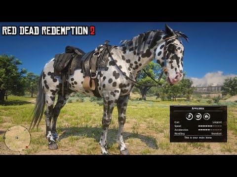 Don't Forget to get this Horse for free | Leopard Appaloosa | RDR2 | PS4 Slim