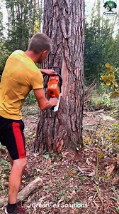 355K views · 2.2K reactions | Learn How to Cut Down a Tree #treefelling #usa #winterseason | World Knowledge | Facebook