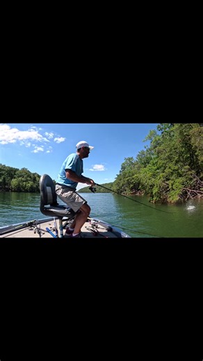 When you make the perfect cast. Spring bass fishing Smith Mountain Lake Virginia #fishing #bassfishing #outdoors #youtube #lake