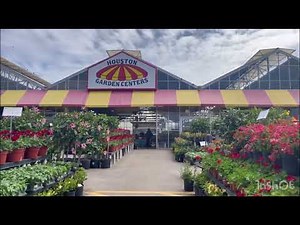 Beautiful flowers and plants in Houston garden center #houstongardencenter