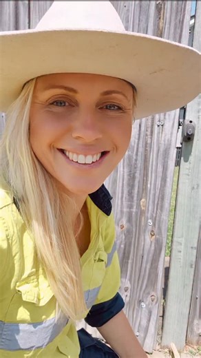 Ocean Wemyss | Australian native stingless bees Tetragonula carbonaria Beautiful young hive that had chosen an extremely hot location if full all... | Instagram