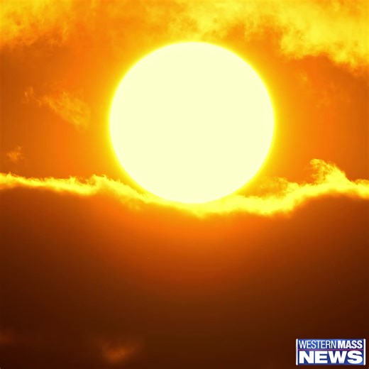 16K views · 105 reactions | Western Mass News has declared today and tomorrow First Alert Weather Days due to the extreme heat. Stay hydrated, seek cool spaces, and be sure to keep an eye on your pets. They're impacted by the extreme heat too! https://www.westernmassnews.com/weather/ | Western Mass News | Facebook