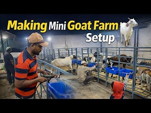 Making Mini Goat Farm Setup 🐐 | Home Goat Farming