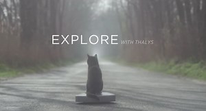 Thalys ou le chat voyageur - L'ADN