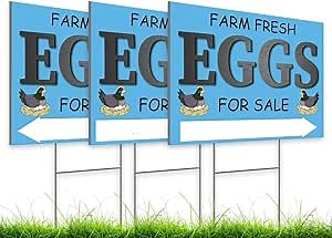 12x16 Inch Pack of 3 Double Sided Sign Coroplast Farm Fresh Eggs for Sale Sign - Fresh Chicken Eggs For Sale Sign for Outside - Farm Fresh Eggs Sign Corugated Plastic with Stakes for Outdoor Décor