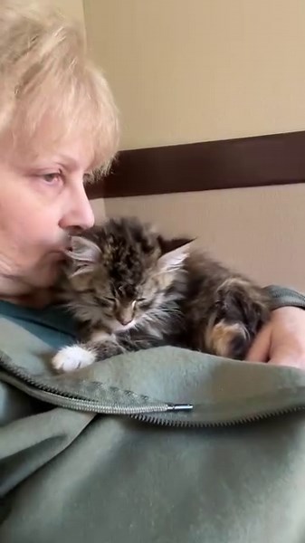 Carmella’s napping process - Part 2: getting lots of snuggles and kisses 💋 . #carmella_kitty | Foster Kitten Tails