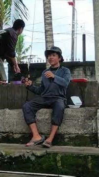 Fishing for tilapia with an ultralight rod is truly like no other! #shorts #tilapiafishing