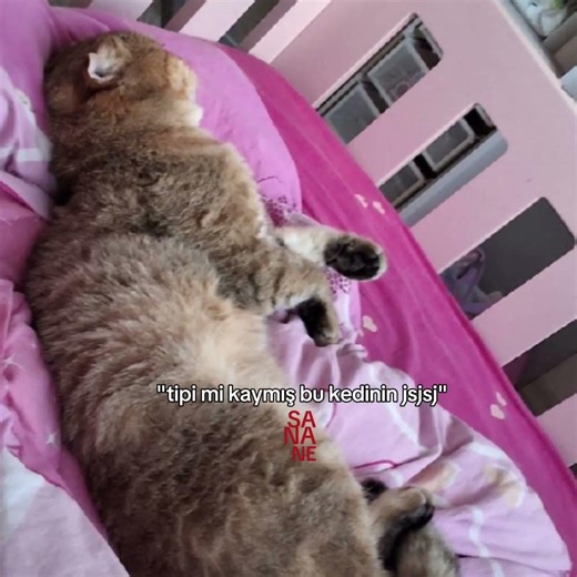 kedime laf atani doverim haa JDHDJ