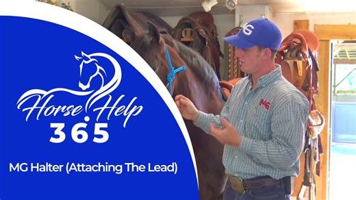 1.8K views · 18 reactions |  Horse Help 365 - Daily Horse Training...