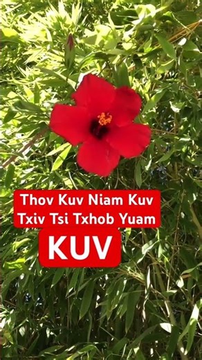 Thov Ua Siab Ntev Mas Niam Thiab Txiv