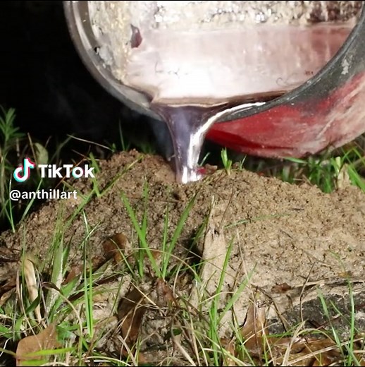 Casting an ant colony on a log with aluminum. Anthill Art Cast #116 11.1lb,15