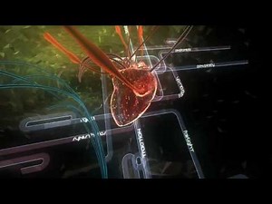 ASD LIFEFORCE ASSEMBLY 2007 (HD)