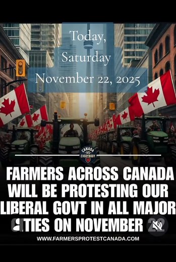 558 reactions · 64 shares | Sally Darlene Cooper on Reels | Facebook