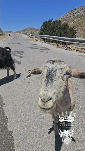 Kreta Geheimtipp 2026: Was 90 % der Urlauber niemals sehen | 4x4 Safari Touren Ausflüge Aktivitäten