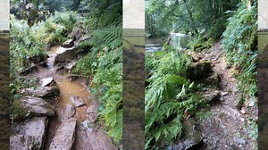So we built a bridge... the Great Bradley Bridge story and how it helps Exmoor | Exmoor National Park