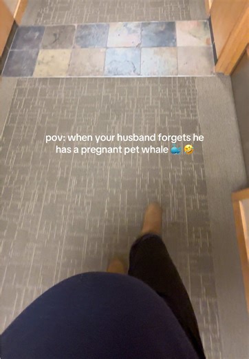 Funny Moments in Pregnant Life with a Whale