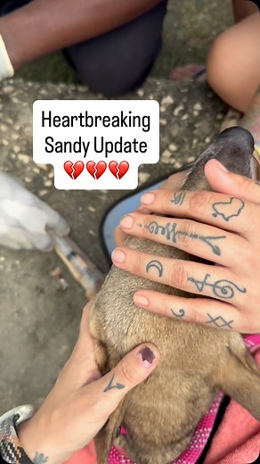 36K views · 5.7K reactions | Sandy Update  we were devastated to...