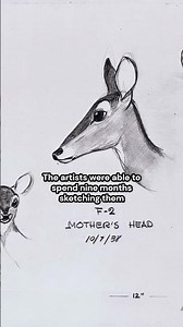 Yummy Sketchpads | Disney Artists Studying Deer for the production of Bambi (1942) #art #artwork