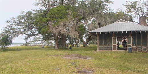 More than 700 acres of Charleston Museum property moving forward in conservation
