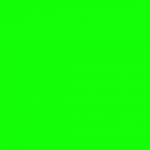 Talking Pomeranian: Adorable Dog Sounds on Video