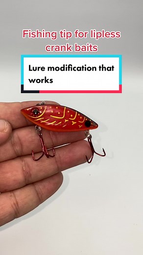 I love throwing this during pre spawn but it’ll work year around #crankbaits #liplesscrankbait #fishingrigs #fishingtips #fishinghacks #fishingforbass #bassfishingtips