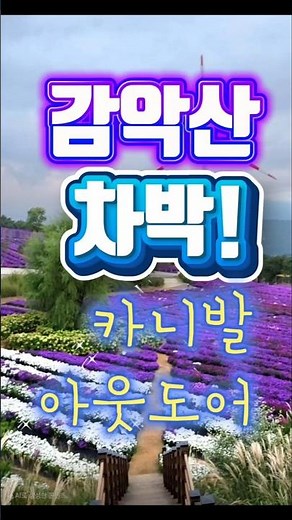 산 위에서 하룻밤ㅣ거창 감악산 차박ㅣ아스타국화축제 #감악산풍력단지 #감악산차박 #아스타국화 #감악산차박 #카니발아웃도어 #카니발차박 #카니발하이브리드 #shorts