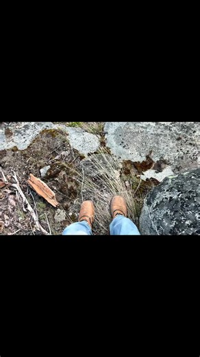 #PNW #cascadia | cascadia