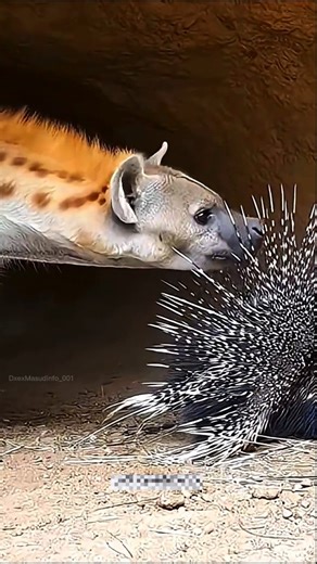 Day 30🎯 [ Rule of life ] #shorts #ytshorts #short #facts #100dayschallenge