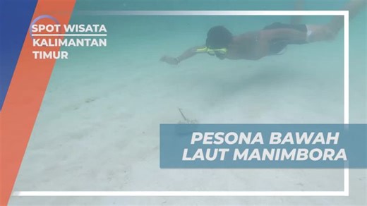 Menjelajahi Pesona Bawah Laut Pulau Manimbora, Kalimantan Timur