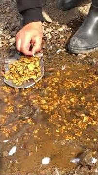 We STRUCK REAL GOLD on Our BIGGEST Treasure Hunt EVER Today?