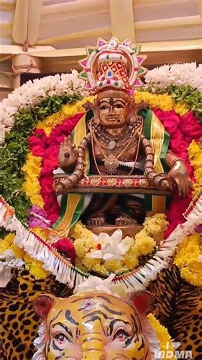 om swamiye saranam ayyappa #ayyappaswamy #tamil #sabarimalasaidapet kaveri Nagar ayyapa poojai 2025