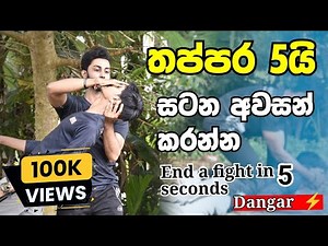 තප්පර 5 සටන් අවසන් කරන්න | End a figh in 5 seconds -SL LION HEART