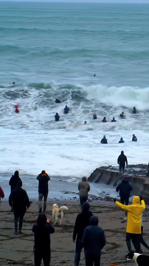 56K views · 1.2K reactions | Terrifying Moment Massive Wave Destroys Beach | Caught on Camera! #MassiveWave #BeachChaos #WaveCrash #StormyOcean #NatureIsWild #BeachDisaster #CaughtOnCamera #ViralVideo #TsunamiVibes #NaturalPhenomenon #OceanPower #EpicMoment #BeachRun #DogsOnBeach #HumanReaction #YellowSuitHero #CrazyWave #SandCollapse #MudSurge #BeachLifeGoneWrong #instagramreels #instagramtrending #instagramviralvideo #instantviral #trendingnow | Natural Disaster | Facebook
