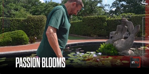 Volunteer at New Orleans park devotes 45 years to the water lilies