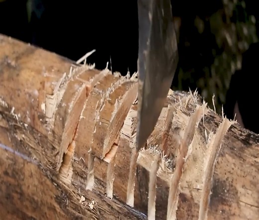 My 30-day building journey spans from trees to tiny houses. | Alone with nature | Facebook