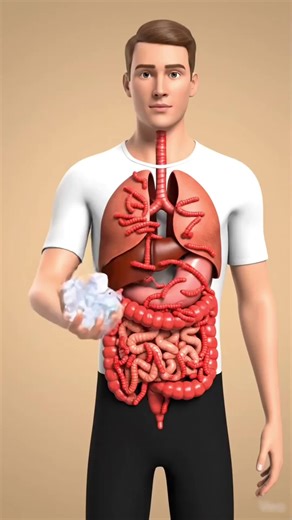 The Amazing Journey of Ice Inside your body | 3d Animated Content #sciencefacts #fyp #ice #health #creatorsearchinsights