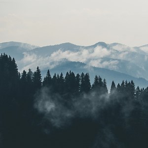 Sustainability Reports