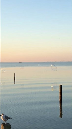 Blue Magic..Sideshow 1974. #soulmusic #rhythmandblues