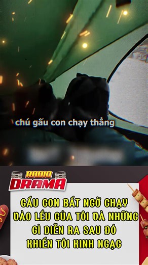 Giải Cứu Gấu Con Đáng Yêu Trong Radio Drama