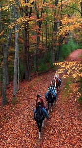 Make your fall road trip dreams come true. 💭 📍: Mercer County, WV & Summers County, WV 🍁: Area projected to show fall color mid October | West Virginia Tourism